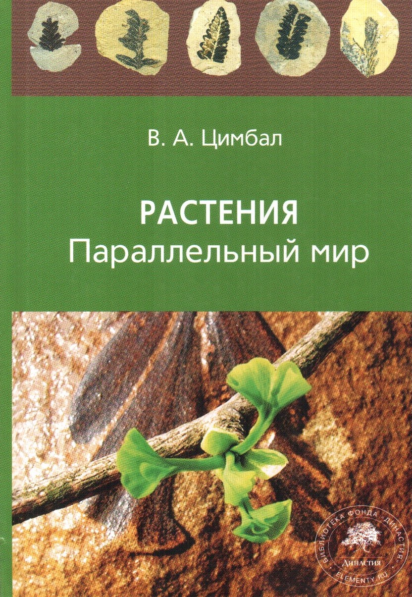 Растения мир