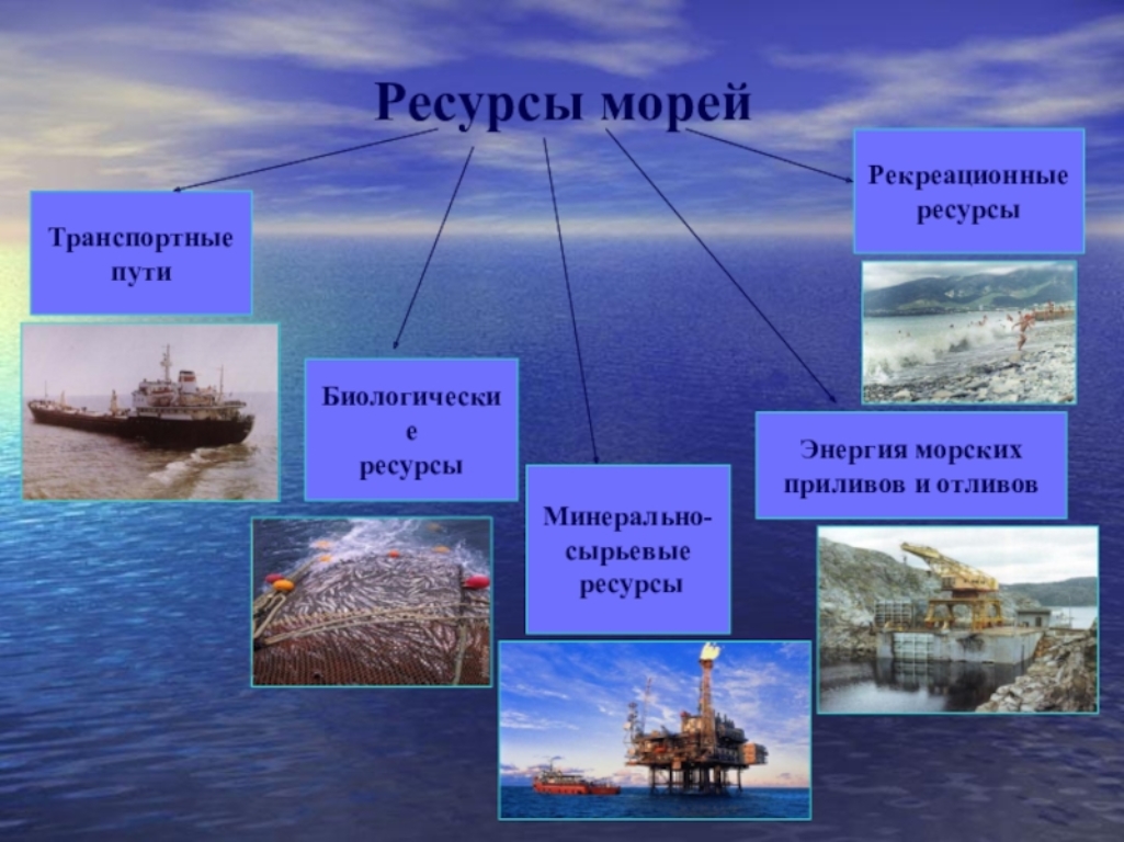 Ресурсы морей