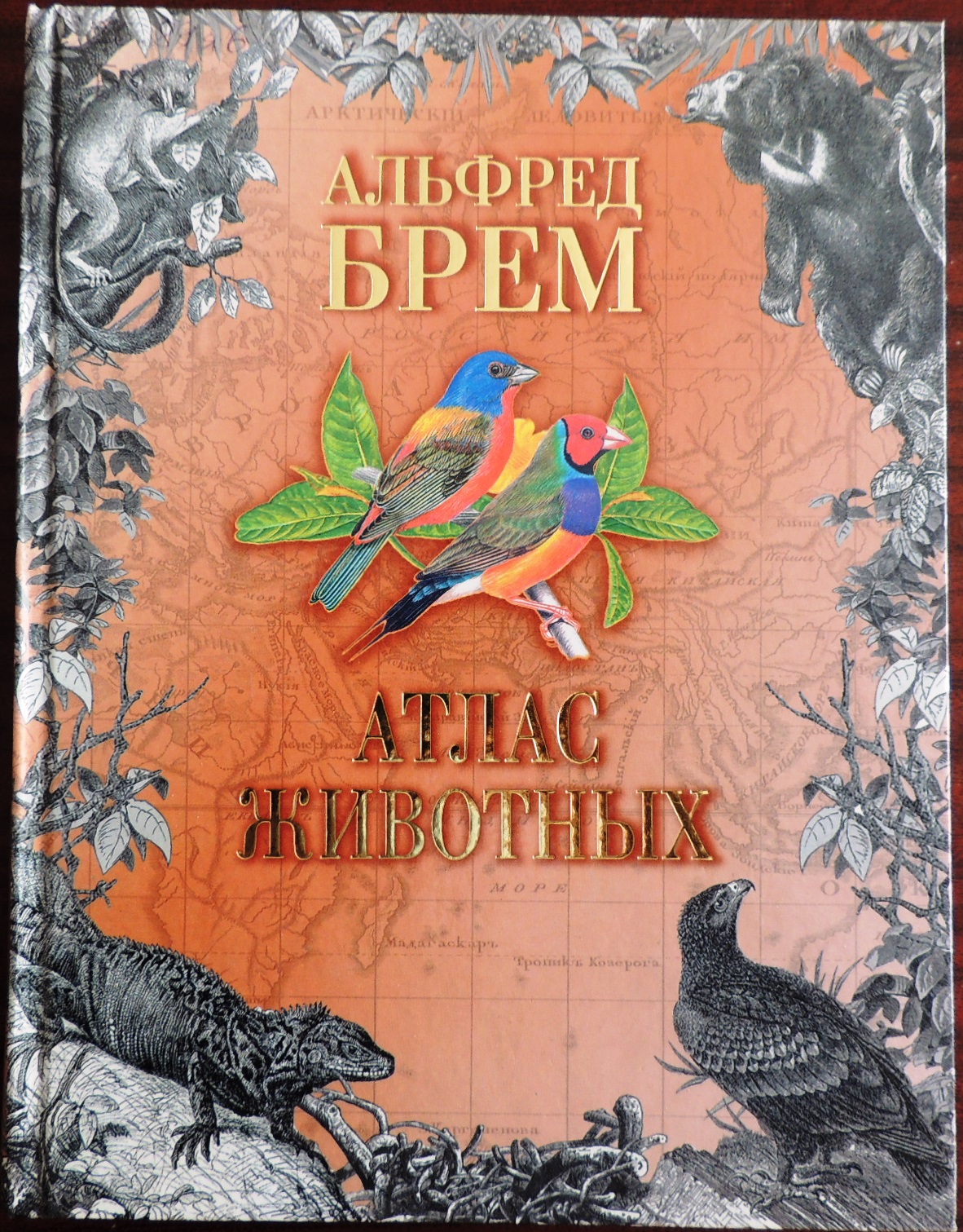Брэм А. Атлас животнх