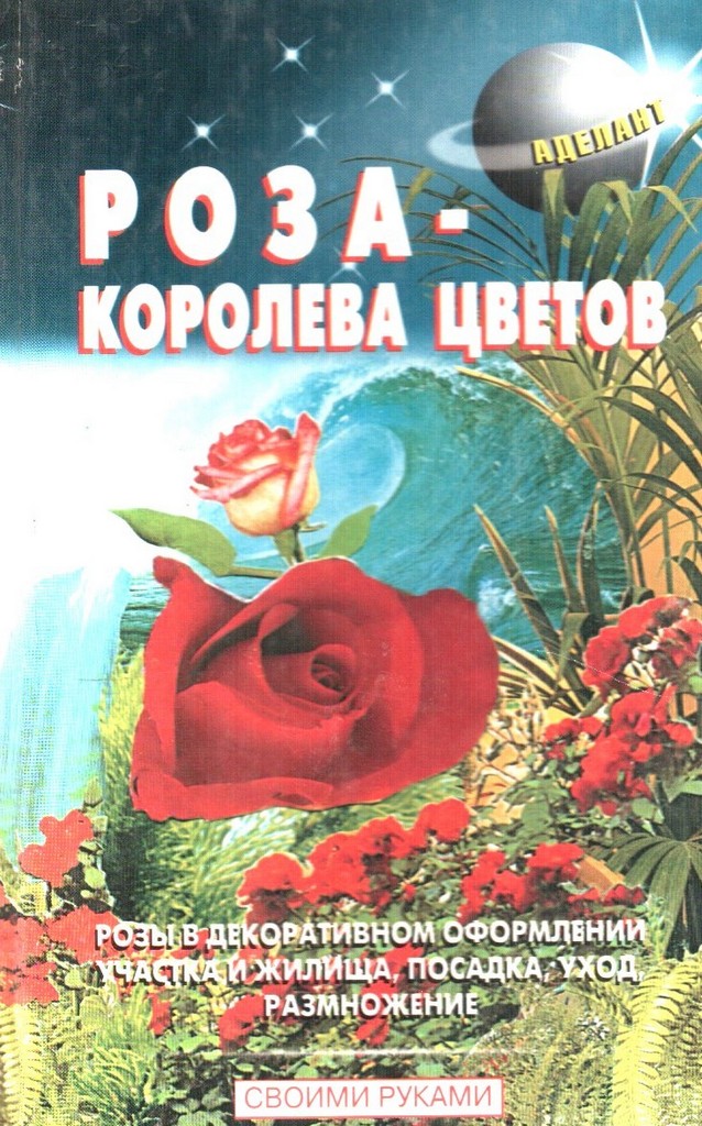 Роза