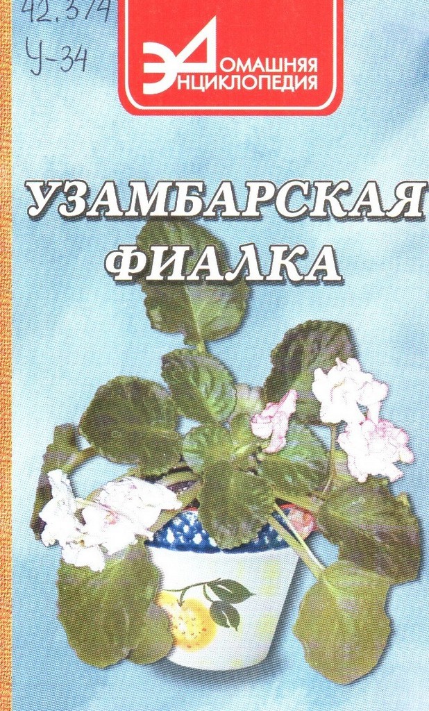 Фиалка